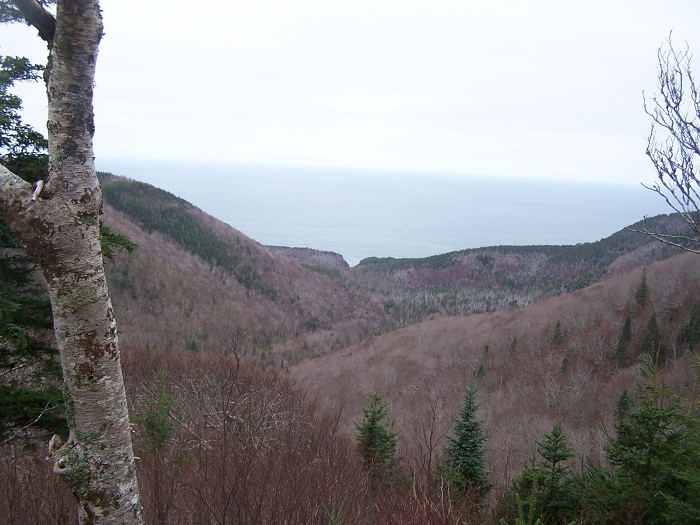 Cape Mabou Highland Hiking Trails 1.jpg